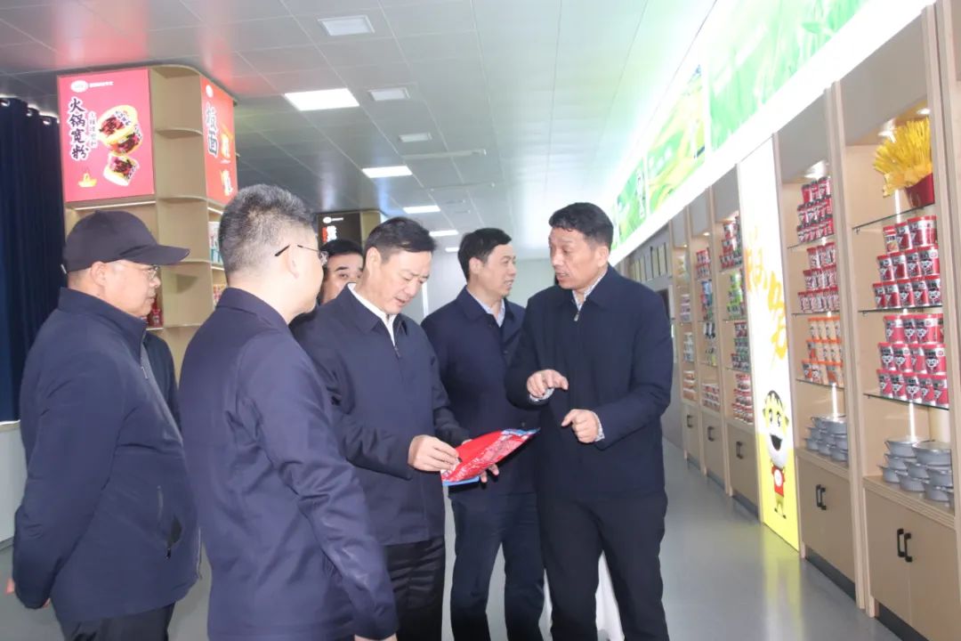 领导考察丽星公司 领导考察丽星公司